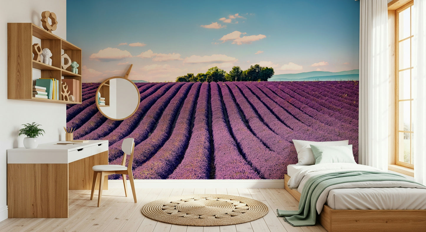 Provence's Purple Haze Wall Mural