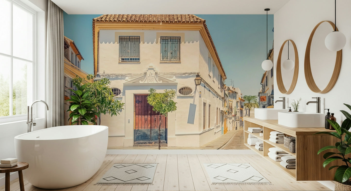 Spanish Street Charm Wall Mural