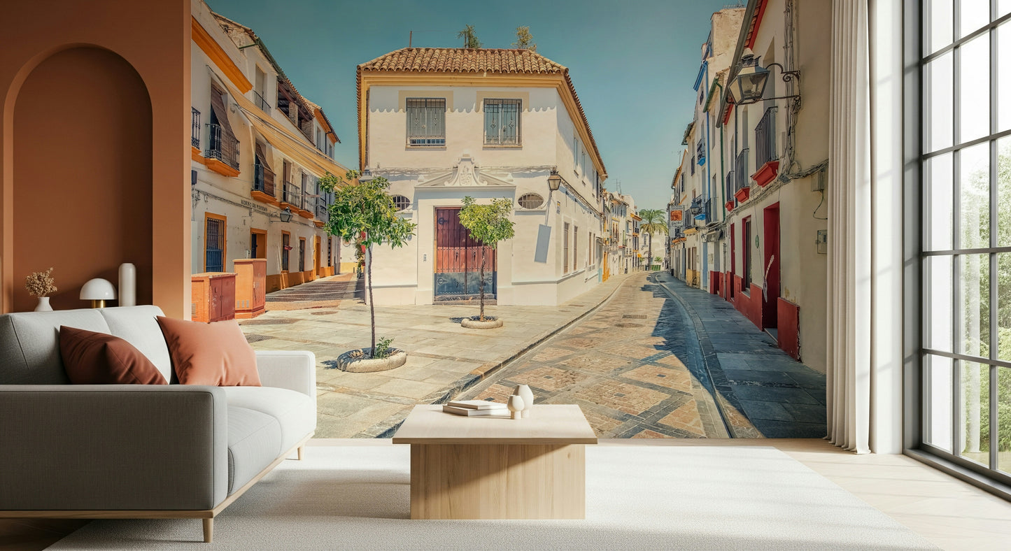 Spanish Street Charm Wall Mural
