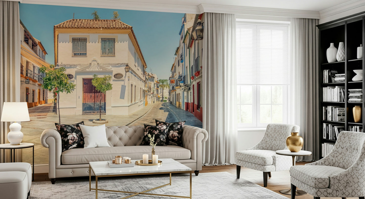 Spanish Street Charm Wall Mural