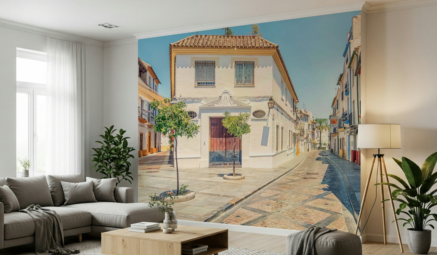 Spanish Street Charm Wall Mural