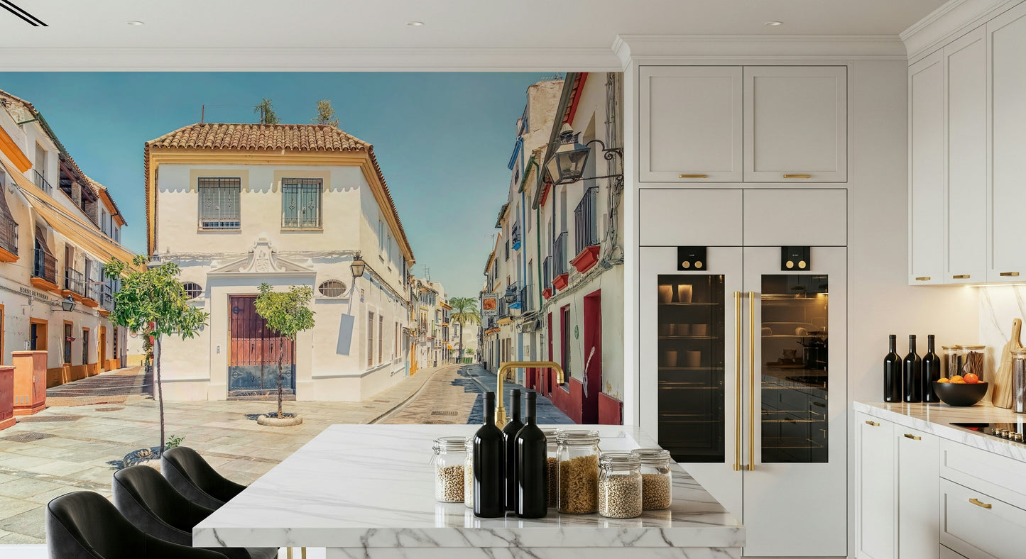 Spanish Street Charm Wall Mural