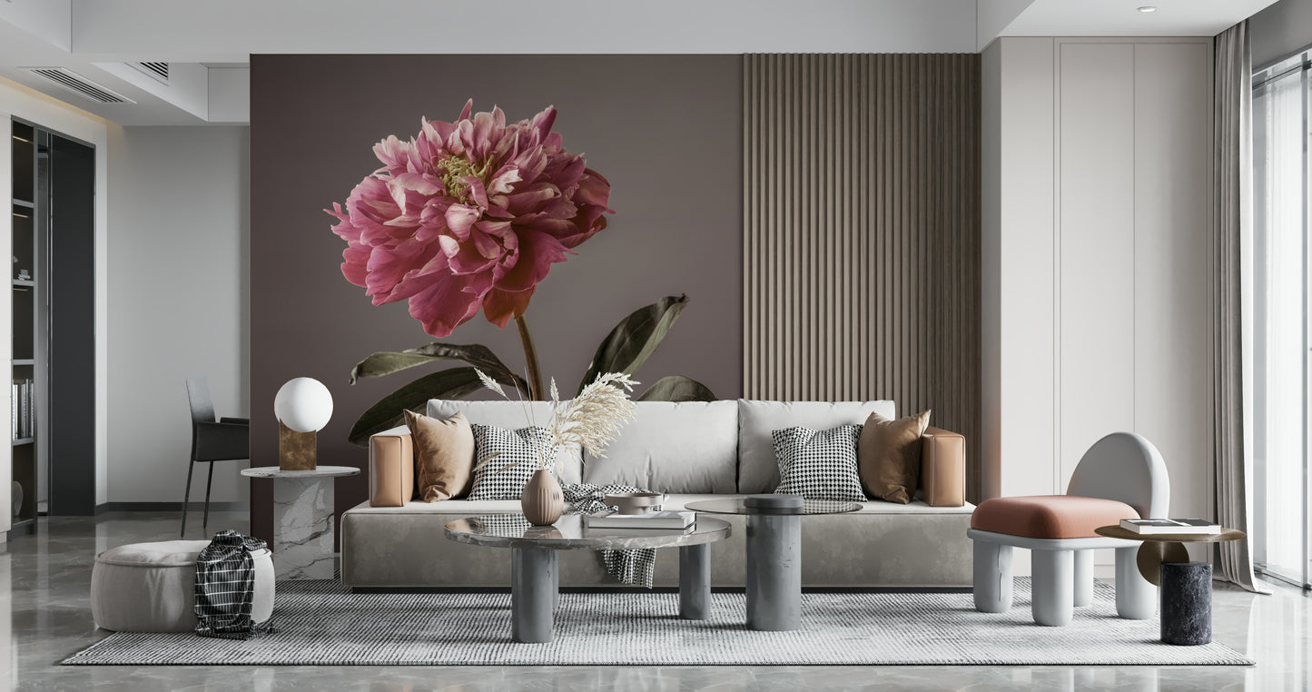 Peony Blush Wall Mural