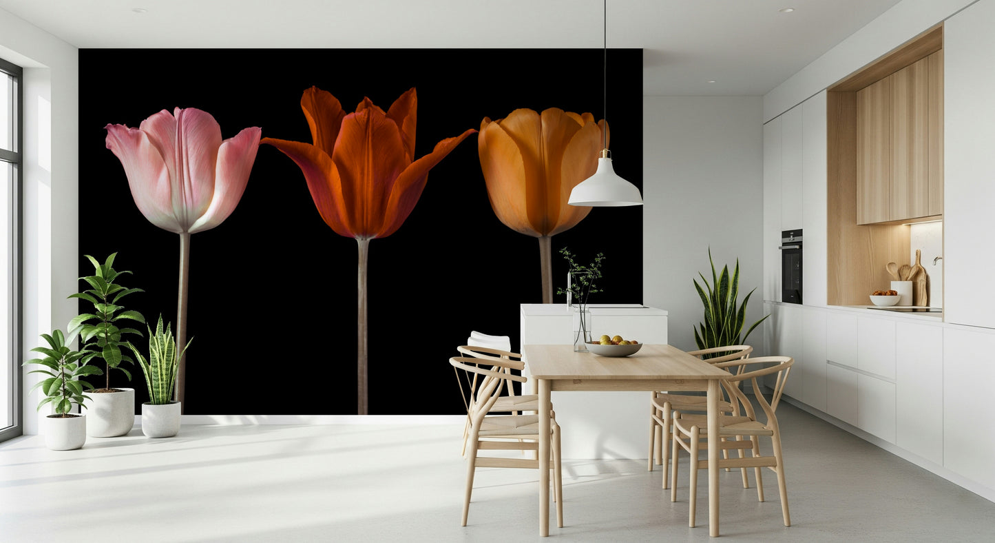 Tulip Trio Wall Mural