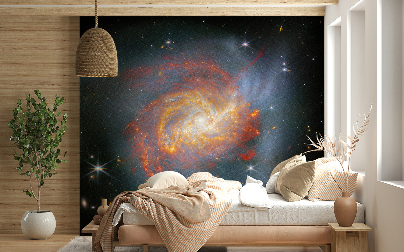 Stellar Canvas Wall Mural