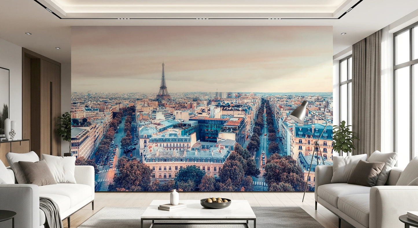 Eiffel Tower View Wall Mural