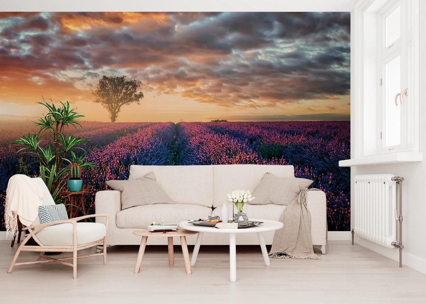 Lavender Dawn Wall Mural