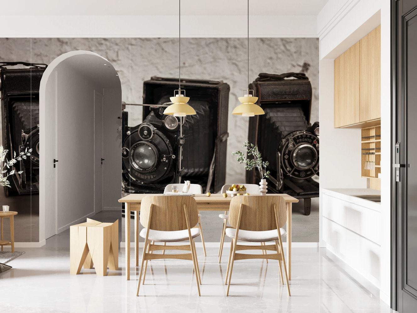 Vintage Camera Trio Wall Mural