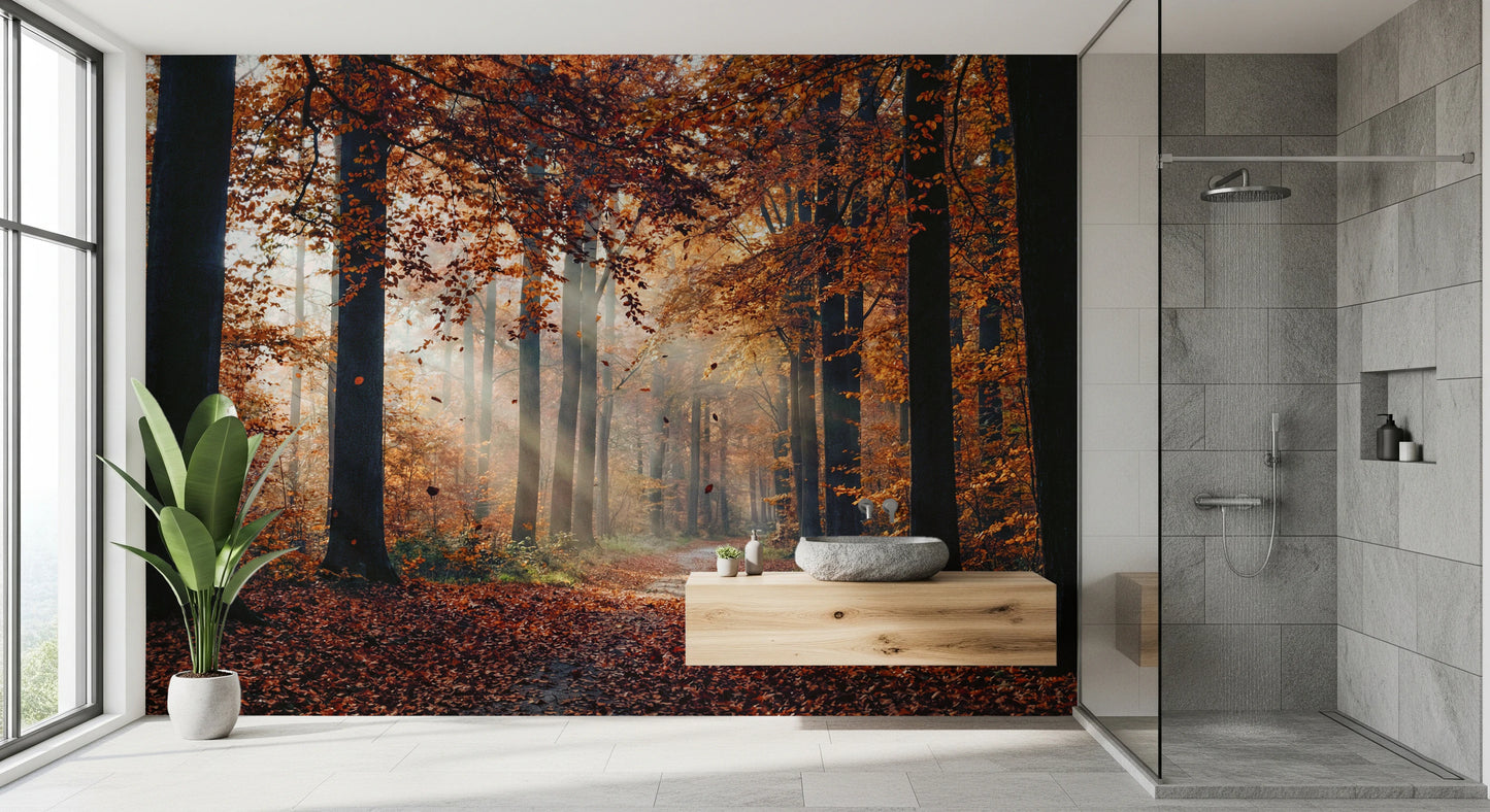 Autumn's Light Wall Mural