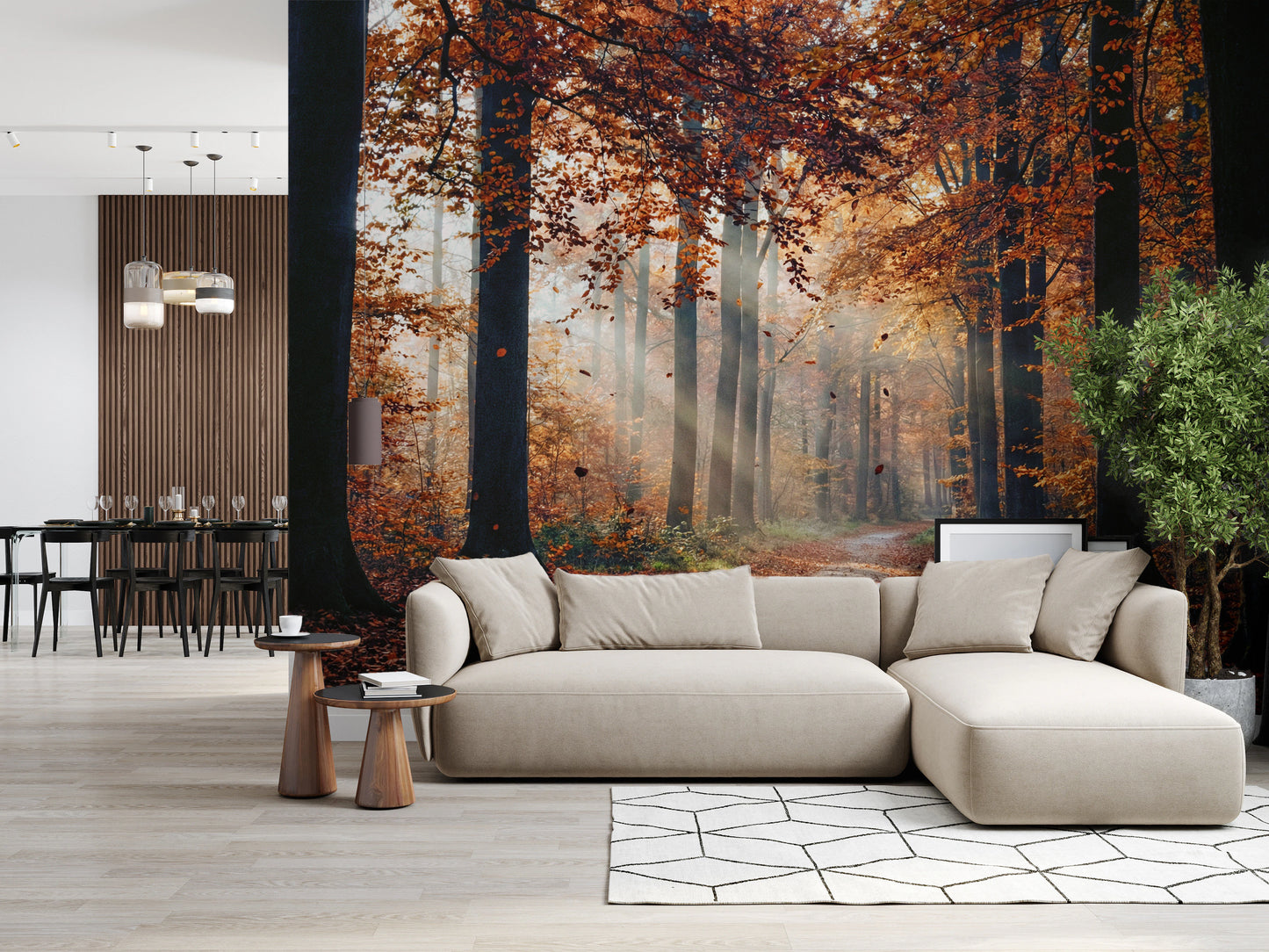 Autumn's Light Wall Mural