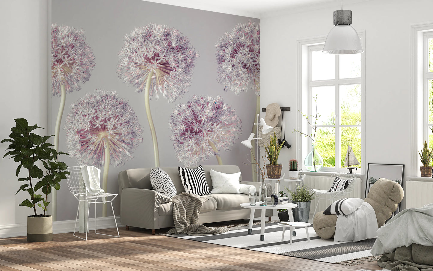 Allium Dreams Wall Mural