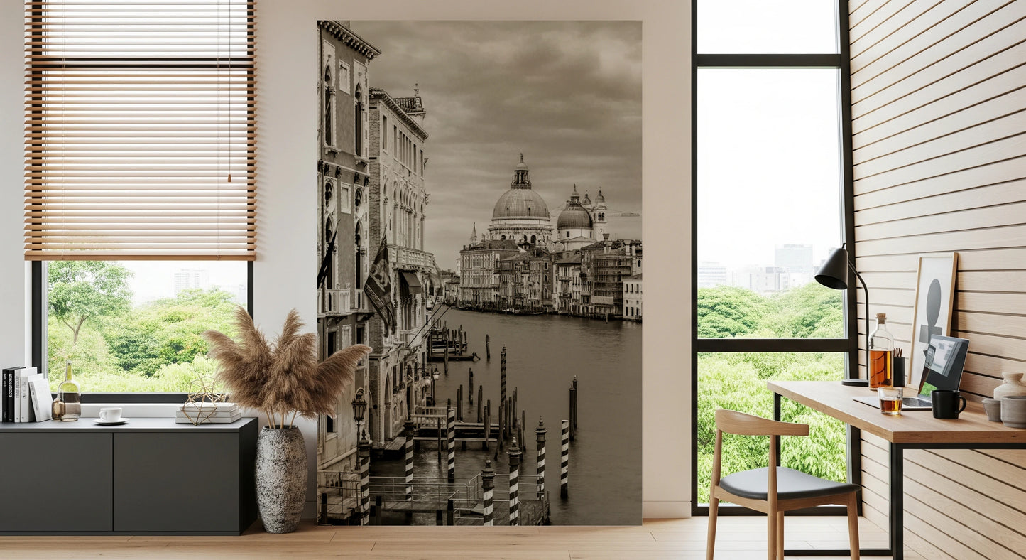 Vintage Venice View Wall Mural