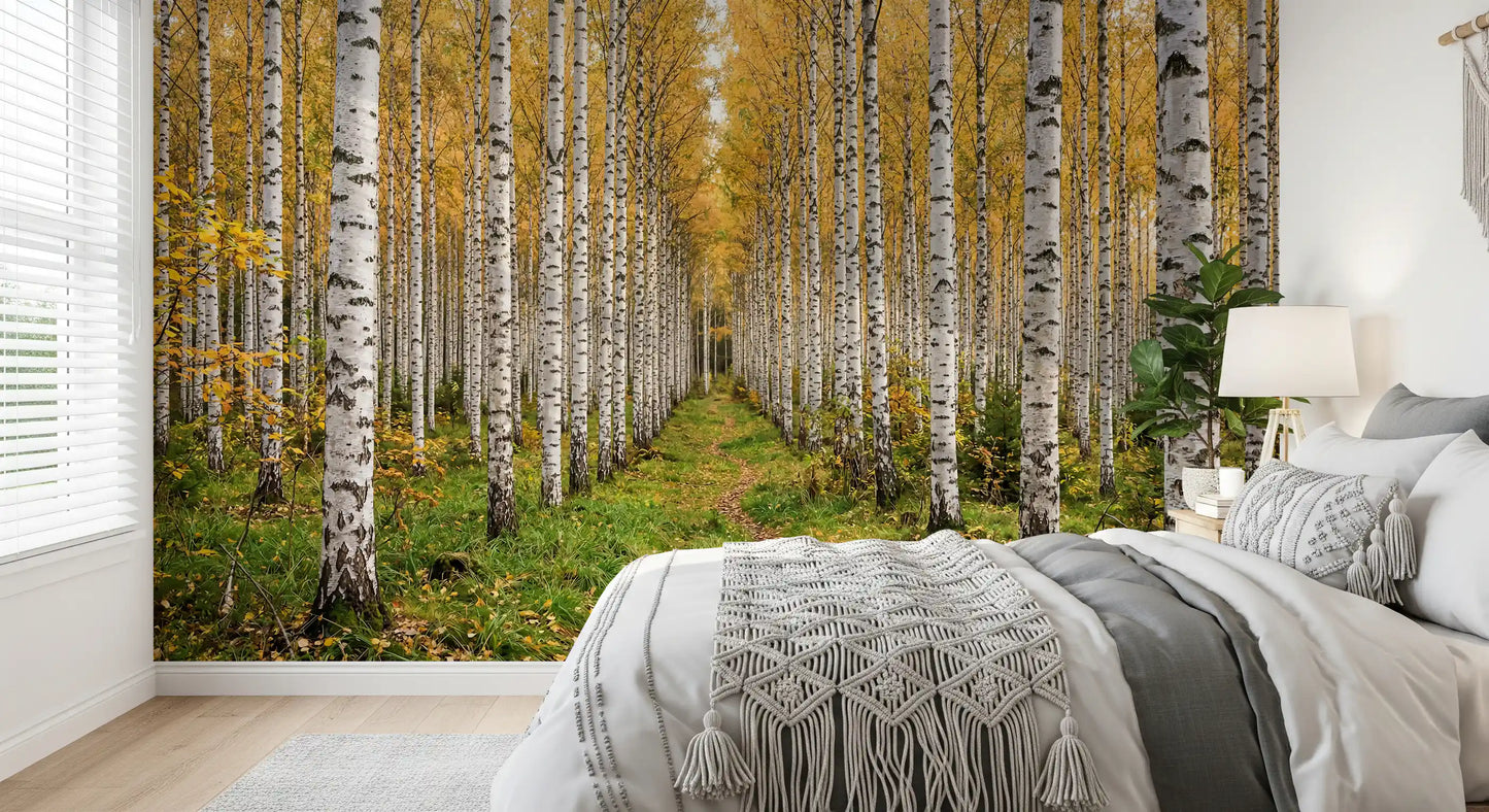 Autumnal Birch Haven Wall Mural