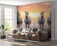 Living room wall mural with wild horses golden shore and glowing sunset surf waves