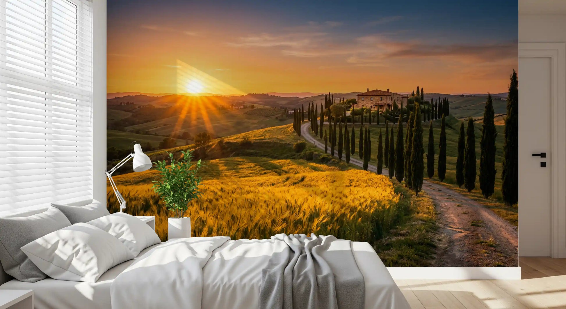 Guest room wall mural brings a cypress path through glowing Tuscan countryside light
