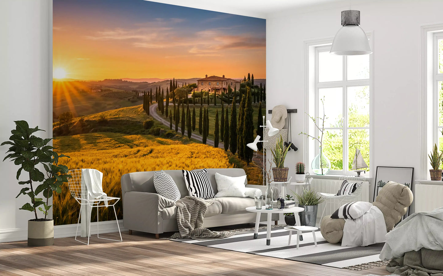 Living room wall mural captures a golden Tuscan villa and cypress road approach scene