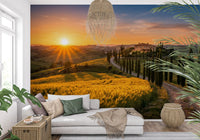 Hallway wall mural showing sunlit Tuscan fields beyond a curving cypress lane view