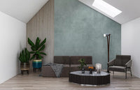 Dirty Paper Pool wall mural in a office with soft aged finish