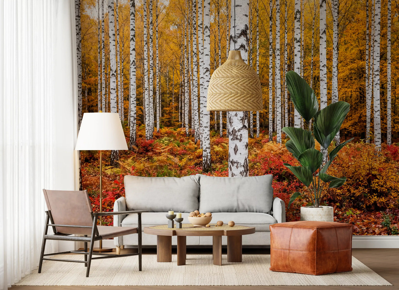 Living room wall mural with vibrant autumn birches and glowing woodland foliage tones