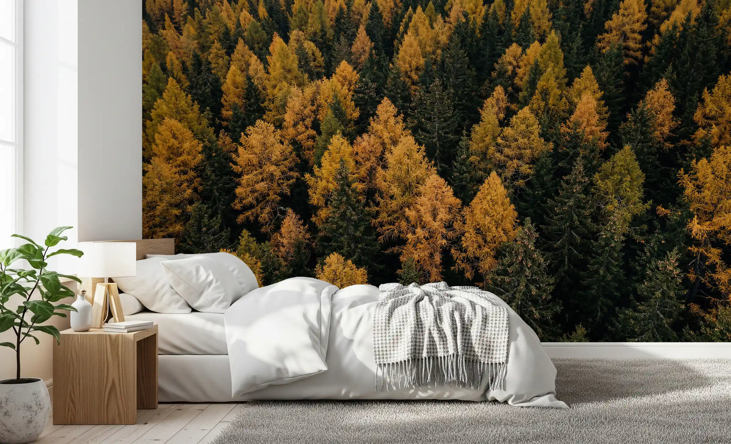Autumnal Woods Symphony Wall Mural