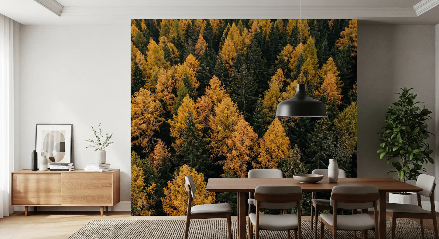 Autumnal Woods Symphony Wall Mural
