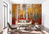 Nature forest wall mural with Golden Canopy Red Carpet vertical tree layout