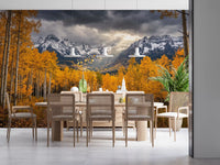 Autumn forest wall mural featuring Golden Aspen Majesty scenic path