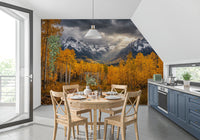 Nature landscape wall mural with Golden Aspen Majesty fall colors