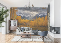Hallway setup with Golden Aspen Majesty wall mural mountain scenery