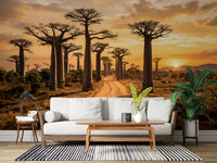 Golden Baobab Path wall mural featuring scenic outdoor perspective