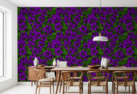 A near-black background lifts the purple petals throughout this clematis floral wallpaper