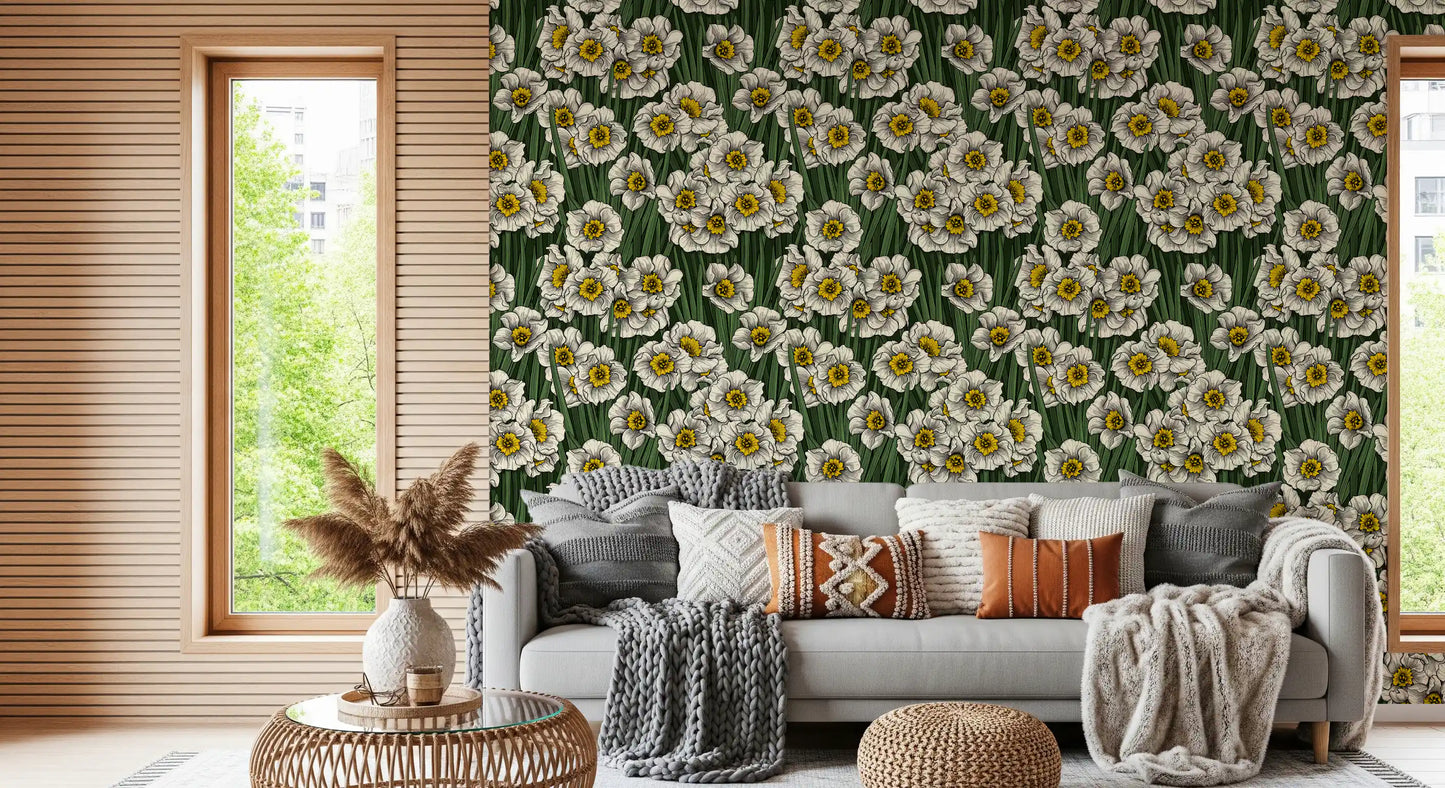 Daffodils wallpaper featuring white blooms with yellow hearts on dark green