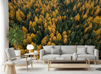 Open living room layout enriched through this gorgeous Forest inspired wall mural.