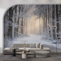 Soft morning light captured within the winter forest wall mural.