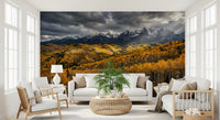 Amber and gold spread through a calm lounge, Autumn's Golden Embrace wall mural