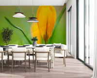 Blurred green field sets off the focal bloom in Golden Crocus Serenity wall mural