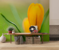 Bright Hallway carrying the Golden Crocus Serenity floral wall mural