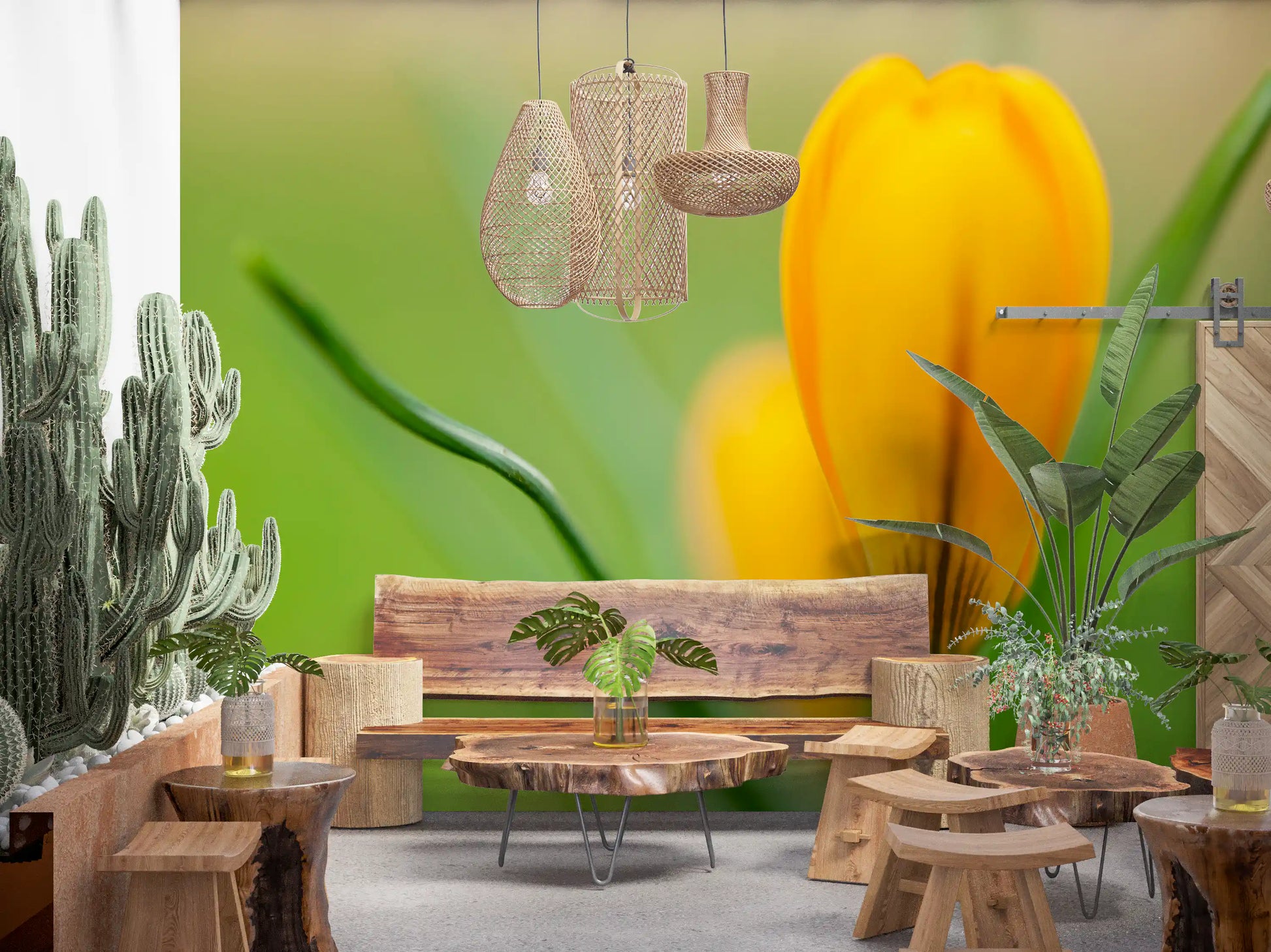 Golden Crocus Serenity wall mural showing one yellow bloom on soft green