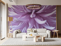 Slender petals curl around a glowing centre in this purple bloom wall mural