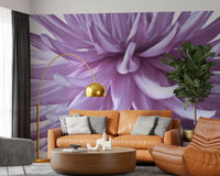 Macro view of a lilac dahlia wall mural with petals spiralling outward