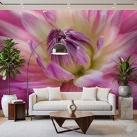 Tightly set petals ring a pale gold heart on the vivid dahlia blossom wall mural.