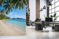 Office workplace area gains an open horizon from the Beachside Serenity wall mural
