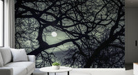 Full moon glow from the Lunar Silhouette Midnight Branches wall mural shades a Hallway.