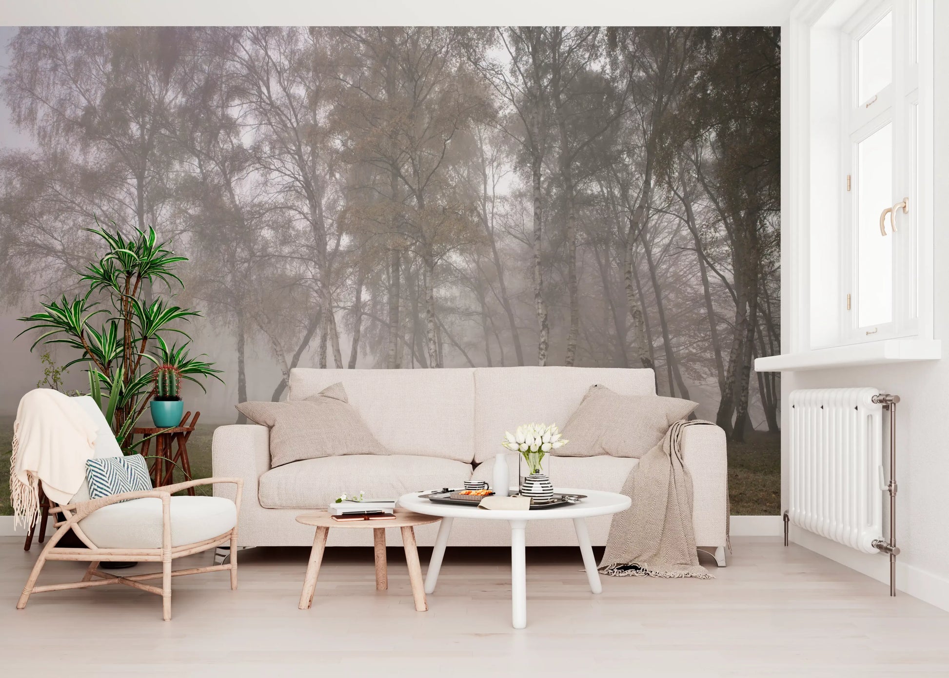 Golden autumn leaves contrast sharply against dense fog within the Birch wall mural.