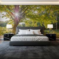 Rough bark and gravel ground the foreground of this Sunlit Woodland wall mural.