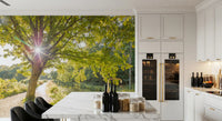 Beside a Dining room this Sunlit Canal wall mural lifts the mood with leafy summer glow.
