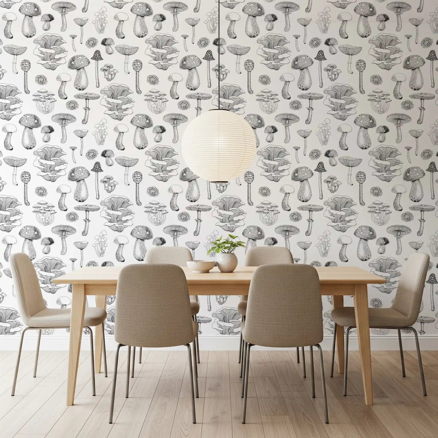 Wild Mushrooms  in black and white Wallpaper⁠