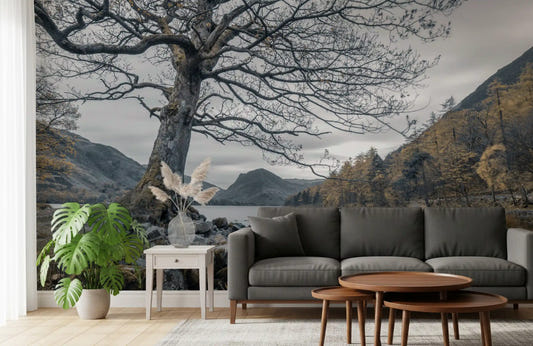 Ancient oak wall mural beside a calm lake with reflections