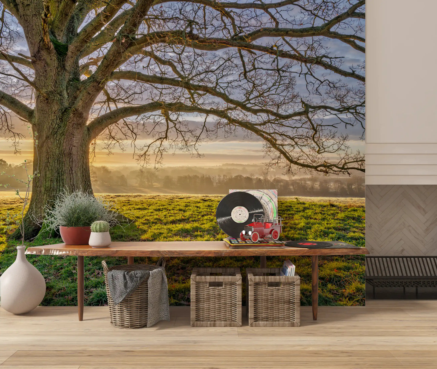 Golden Dawn Oak Tree Wall Mural