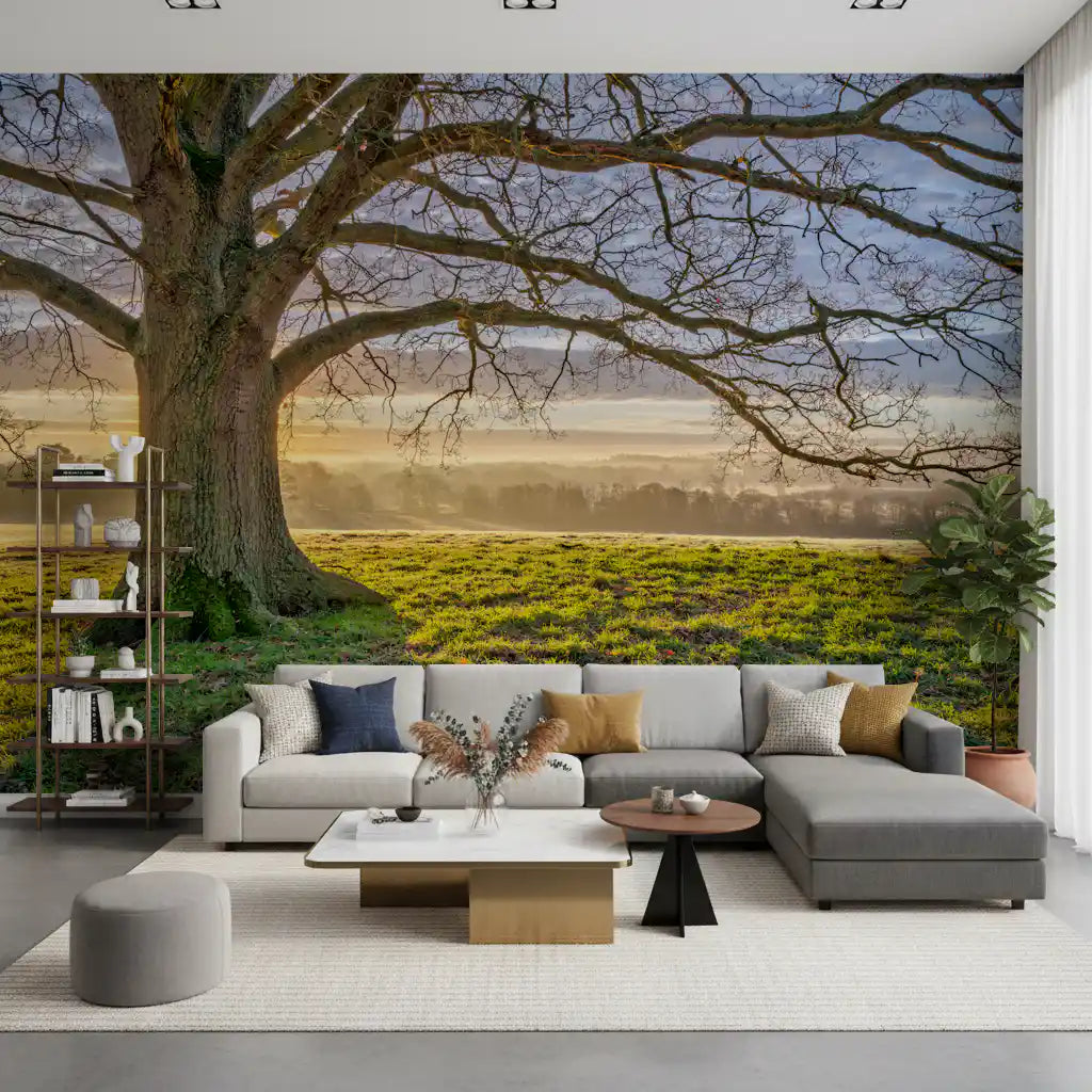 Golden Dawn Oak Tree Wall Mural